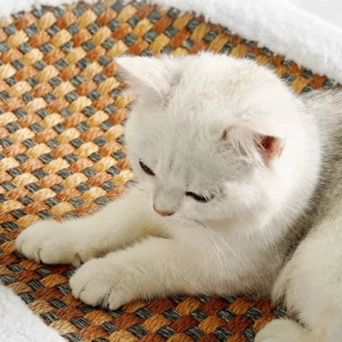 Oval Plush Cat Scratcher Bed with Woven Mat and Padded Bolster - Image 2