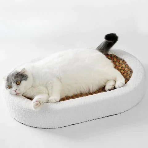 Oval Plush Cat Scratcher Bed with Woven Mat and Padded Bolster - Image 3