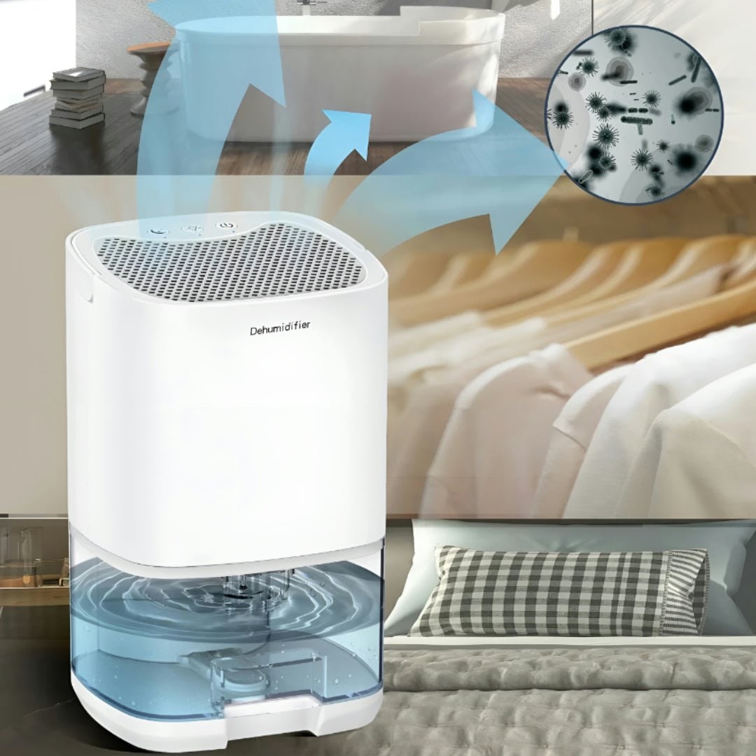 Portable Dehumidifier for Basement Crawl Space and Small Bedroom with Air Purifier and Night Light - Image 1