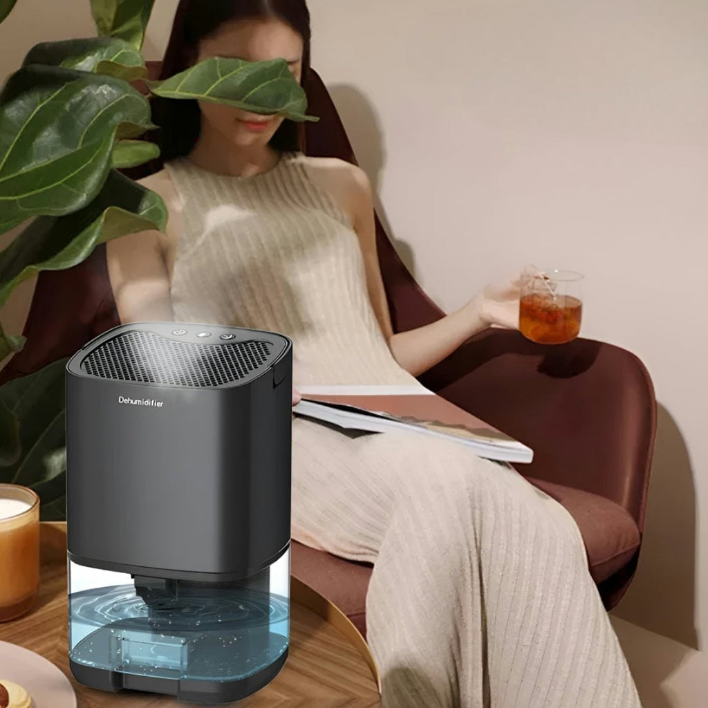 Portable Dehumidifier for Basement Crawl Space and Small Bedroom with Air Purifier and Night Light - Image 2