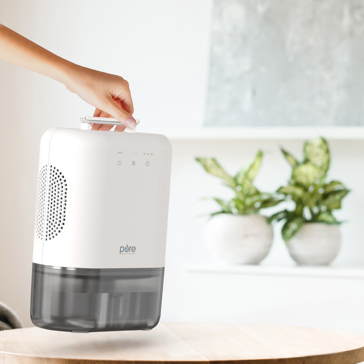Portable Dehumidifier for Basement Crawl Space and Small Bedroom with Removable Water Tank and Timer - Image 5