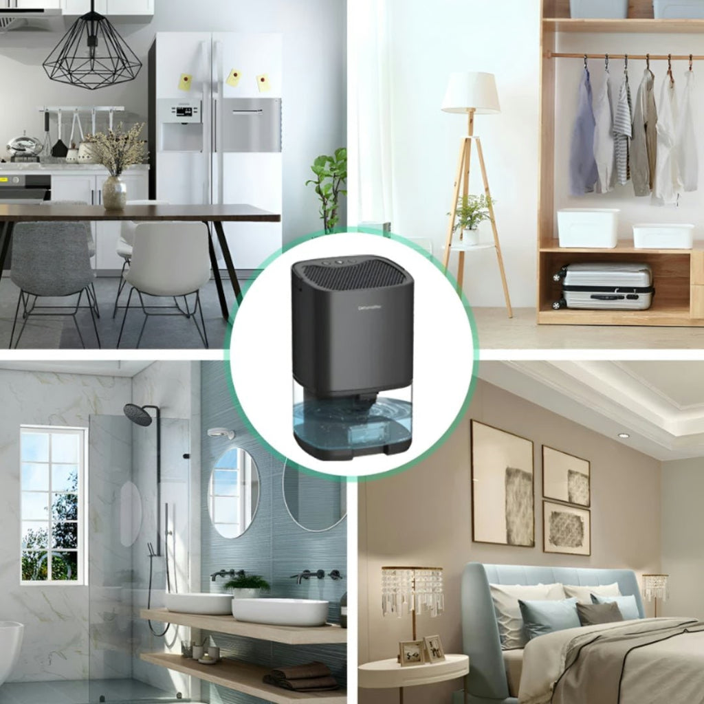 Portable Dehumidifier for Basement Crawl Space and Small Bedroom with Air Purifier and Night Light - Image 5