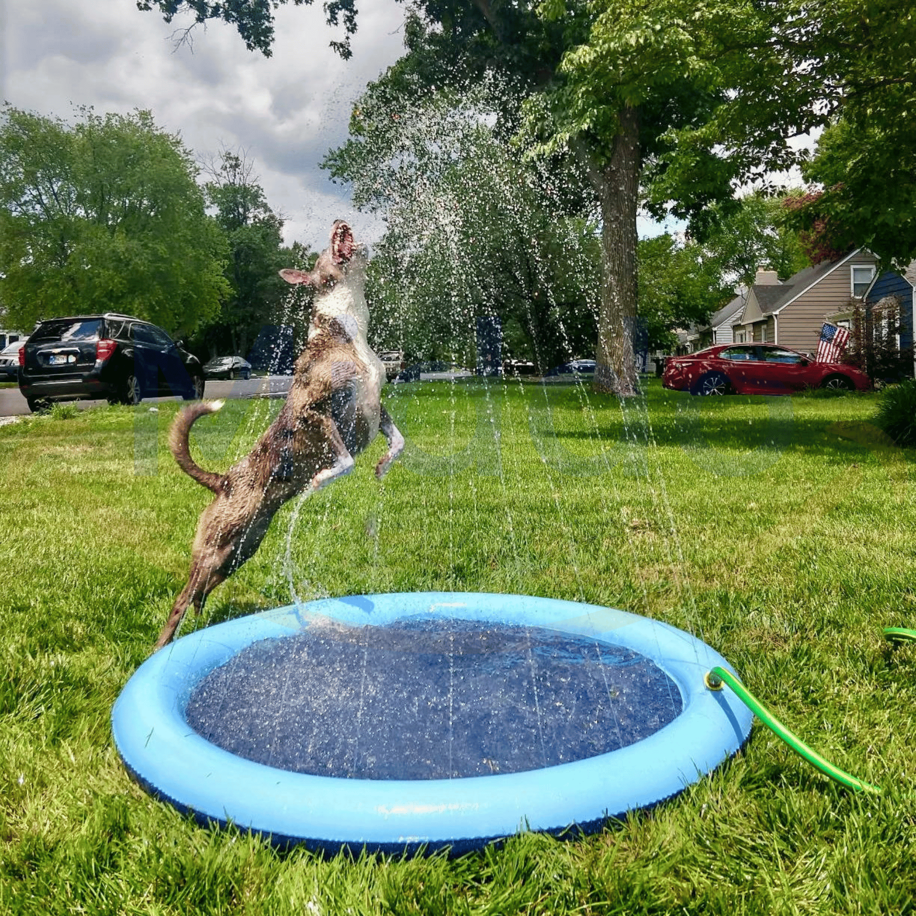 Exciting Water Play for Kids and Pets - Water Splash