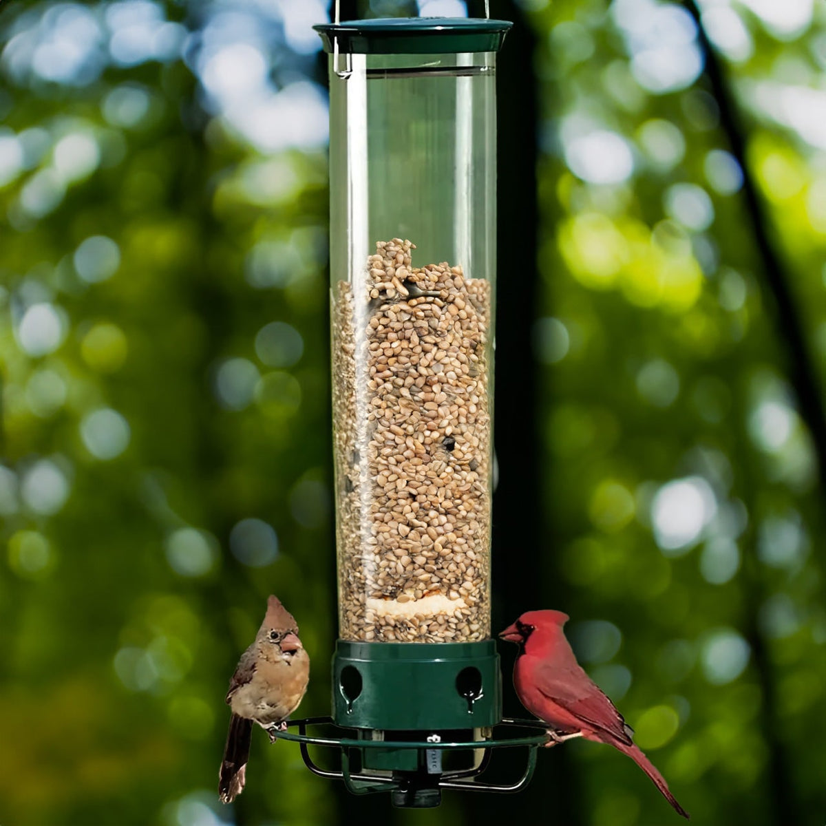 Squirrel Proof Bird Feeder with Weight-Activated Spinning Perch Tube - Image 1