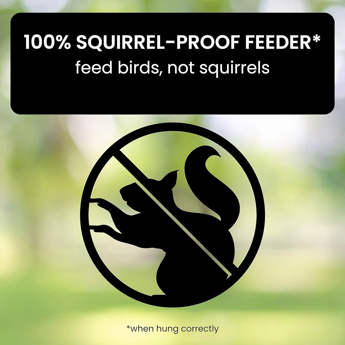 Squirrel Proof Bird Feeder with Weight-Activated Spinning Perch Tube - Image 2