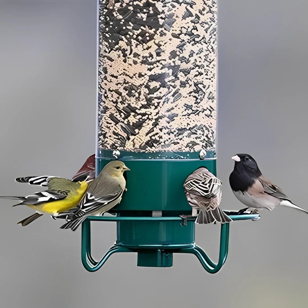 Squirrel Proof Bird Feeder with Weight-Activated Spinning Perch Tube - Image 5