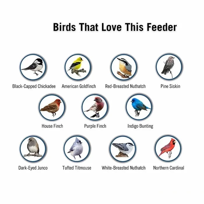 Squirrel Proof Bird Feeder with Weight-Activated Spinning Perch Tube - Image 6