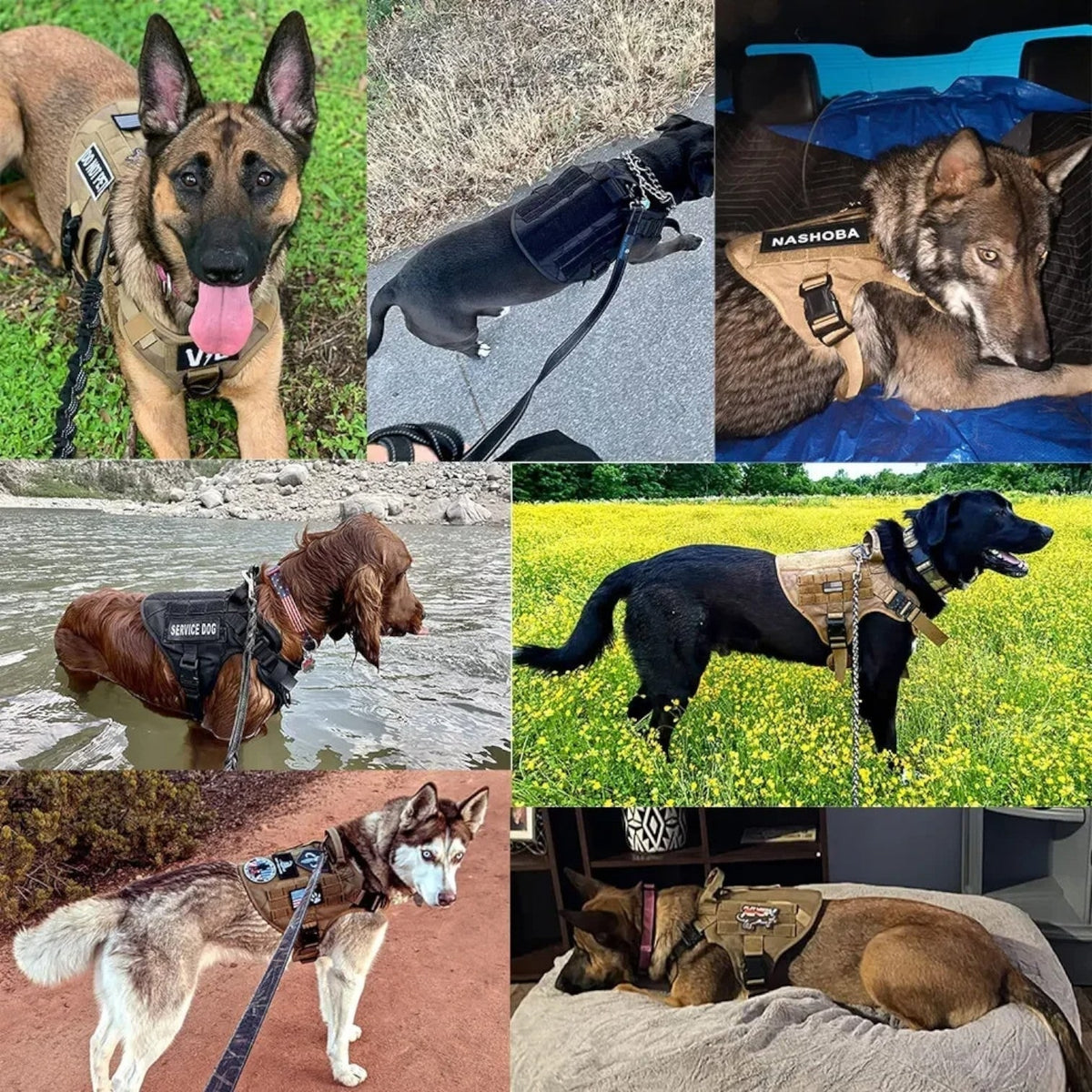 Tactical Dog Harness No Pull Non Vest with Molded Handle and Quick Release Buckle - Image 6