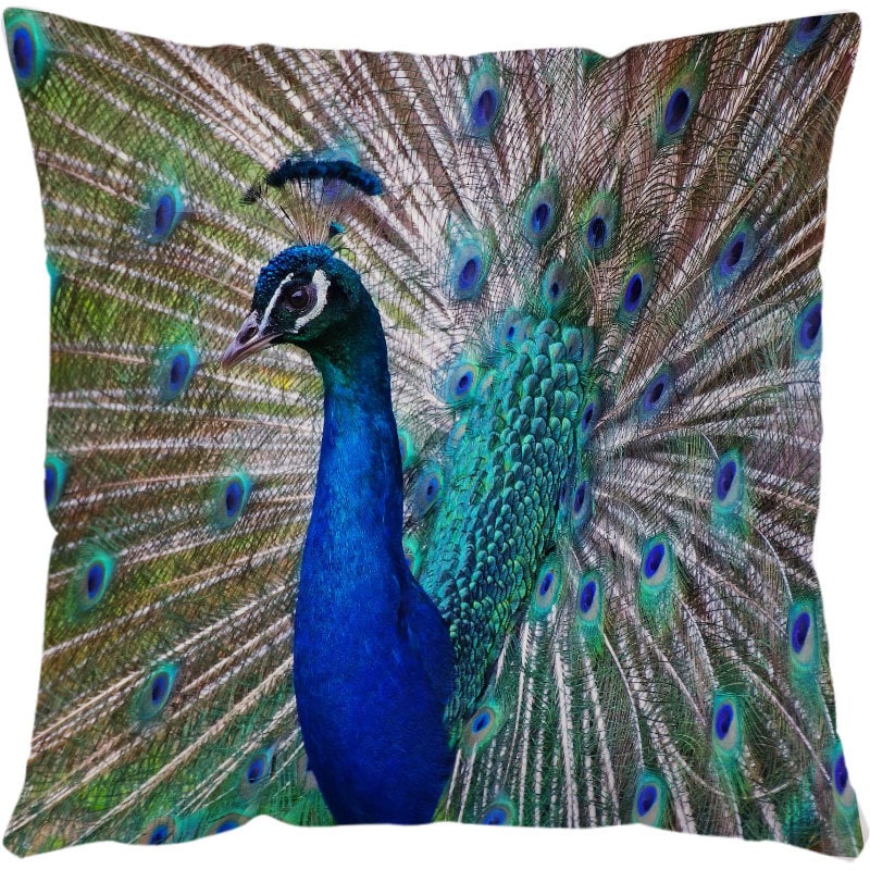 Throw Pillow Covers and Couch Cushion with Marine Life Print Square Decorative for Sofa - Image 10