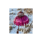 Floral Bird Feeder for Garden and Outdoor Spaces – Decorative Hanging Feeder for Attracting Birds to Your Yard