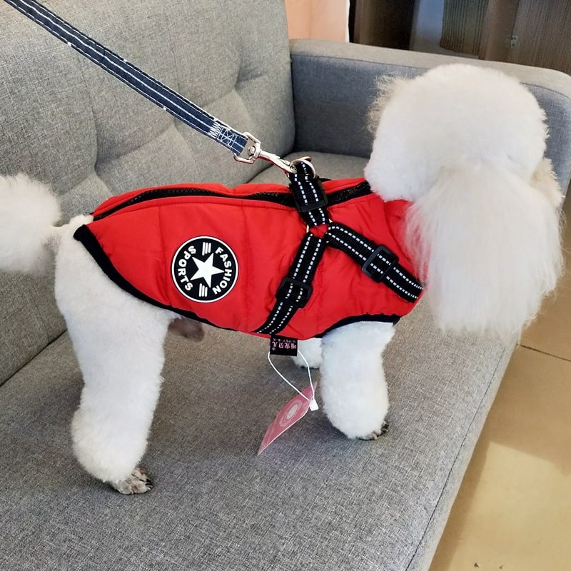 Winter Dog Coat with Harness for Cold Weather Water Resistant Quilted Vest with Reflective Straps - Image 10