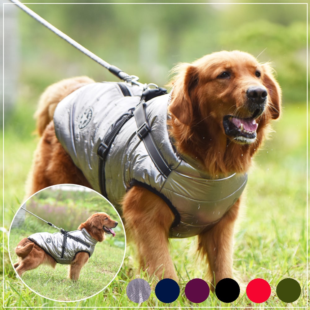 Winter Dog Coat with Harness for Cold Weather Water Resistant Quilted Vest with Reflective Straps - Image 13